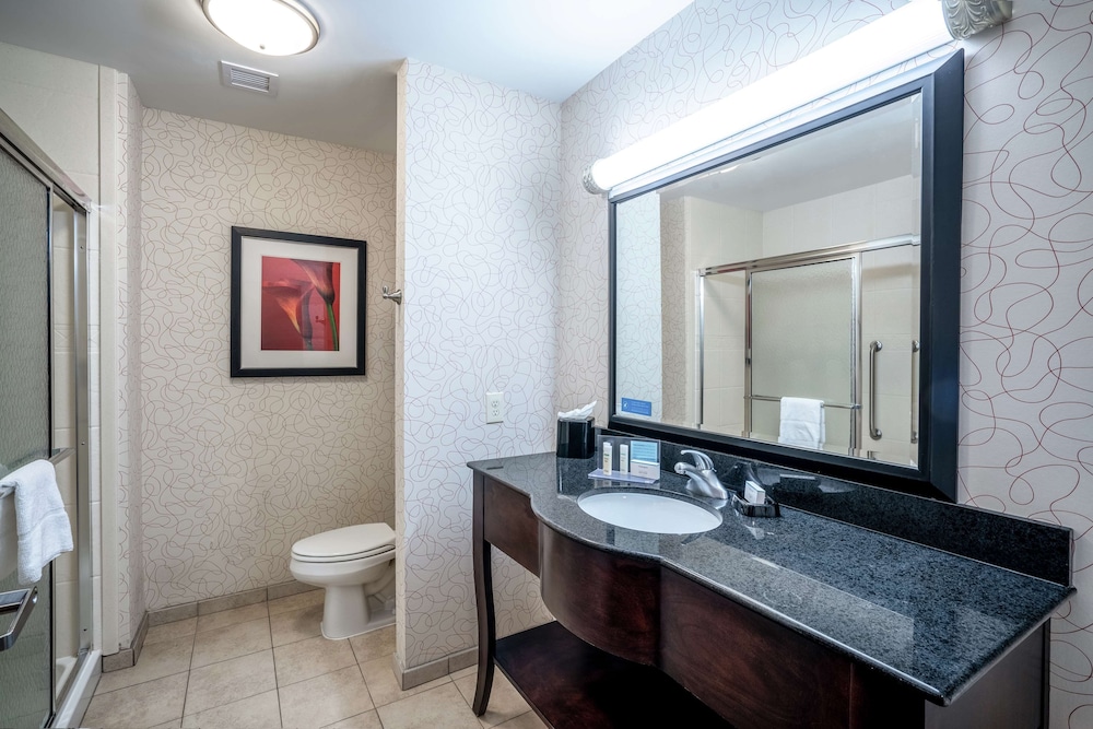 Hampton Inn Richmond Airport - photo 18