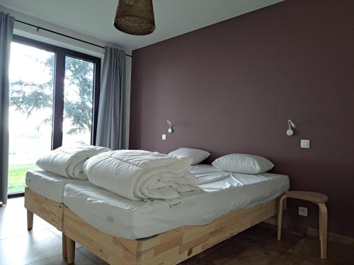 Jubaru — Tournai — photo 4