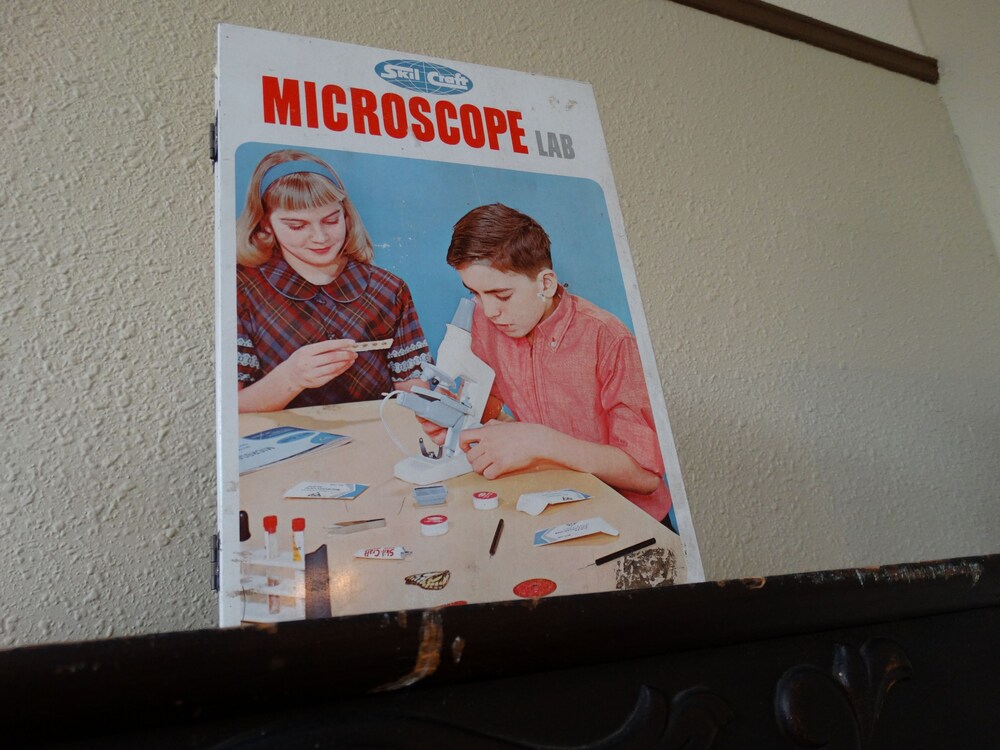 Davie School Inn - photo 16
