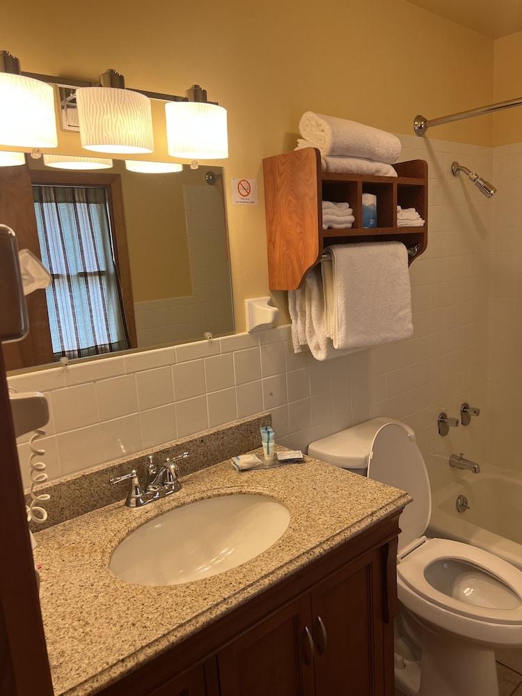 All Star Inn & Suites - photo 348