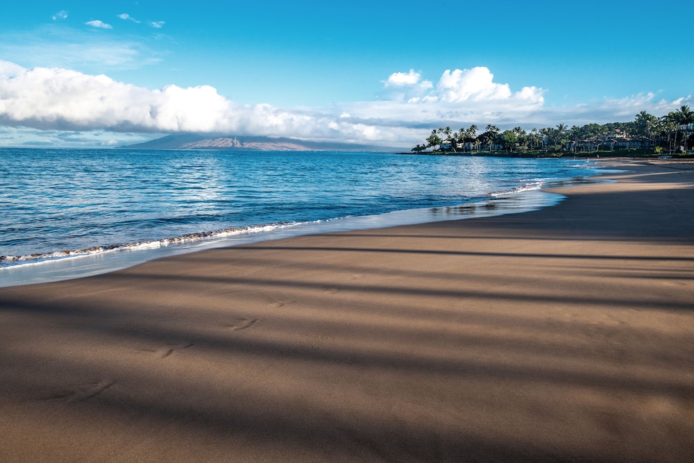Four Seasons Resort Maui at Wailea - photo 161