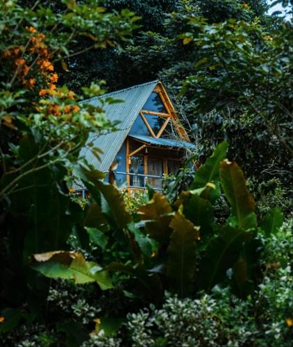 Boscaje Solarpunk Habitat - carbon neutral hotel in Tena