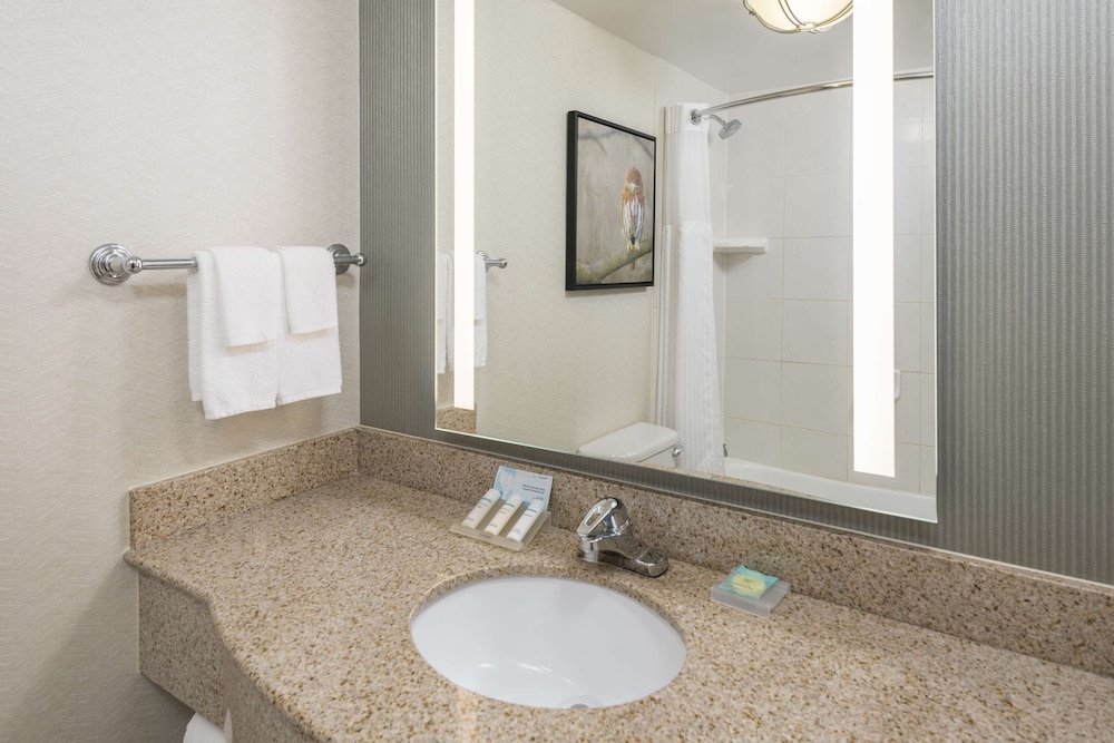 Hilton Garden Inn Scottsdale North Perimeter Center - photo 27
