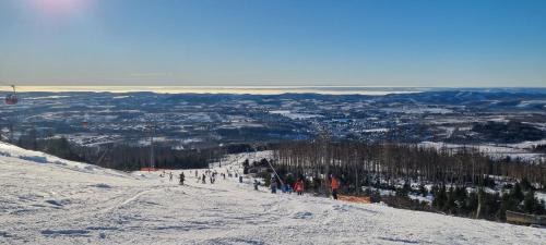 Ferienhaus Sauerzapf Mit Saunabereich 16 Personen in Braunlage, Germany