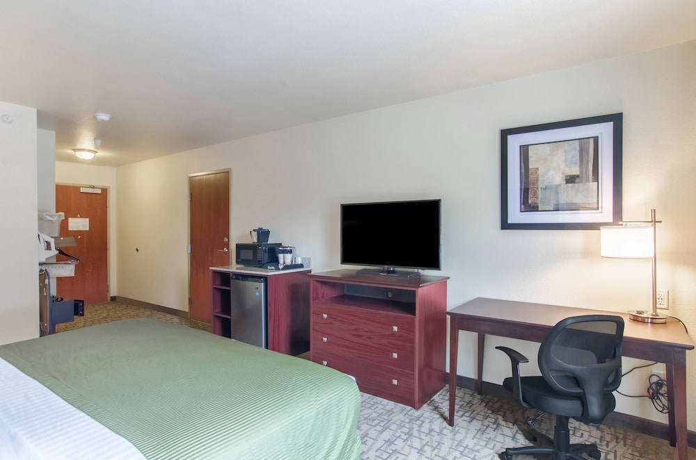 Cobblestone Hotel & Suites Greenville - photo 5
