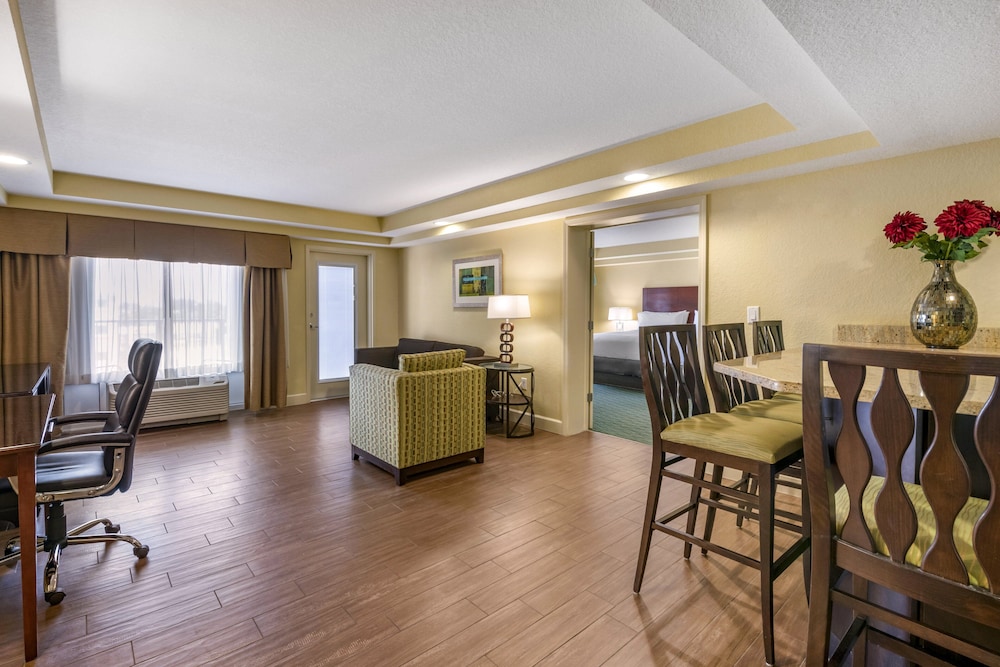 Holiday Inn Resort Orlando Lake Buena Vista by IHG - photo 17