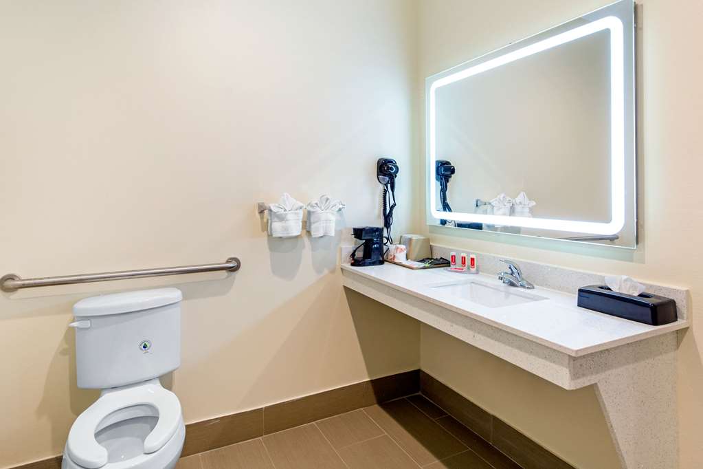 Econo Lodge Inn & Suites Houston Willowbrook - photo 24