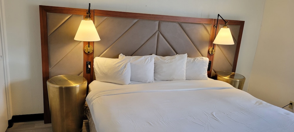 MC Pacific Inn & Suites - photo 9