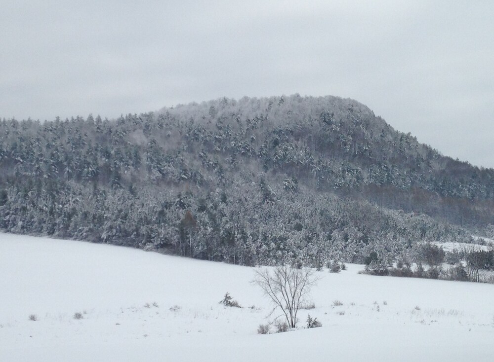 Mt. Philo Inn - photo 132