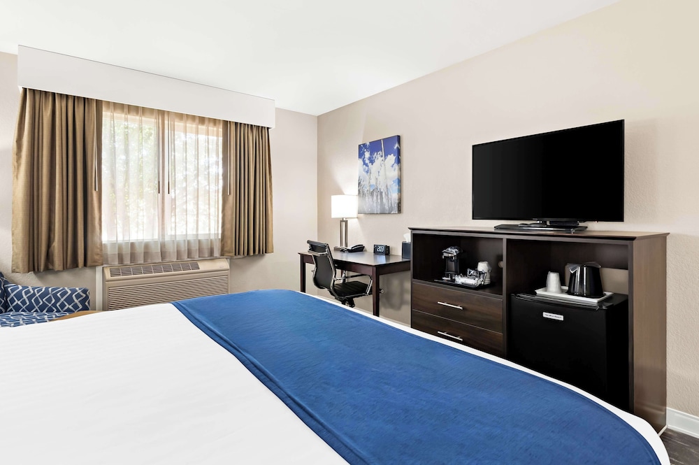 Best Western Snowflake Inn - photo 9