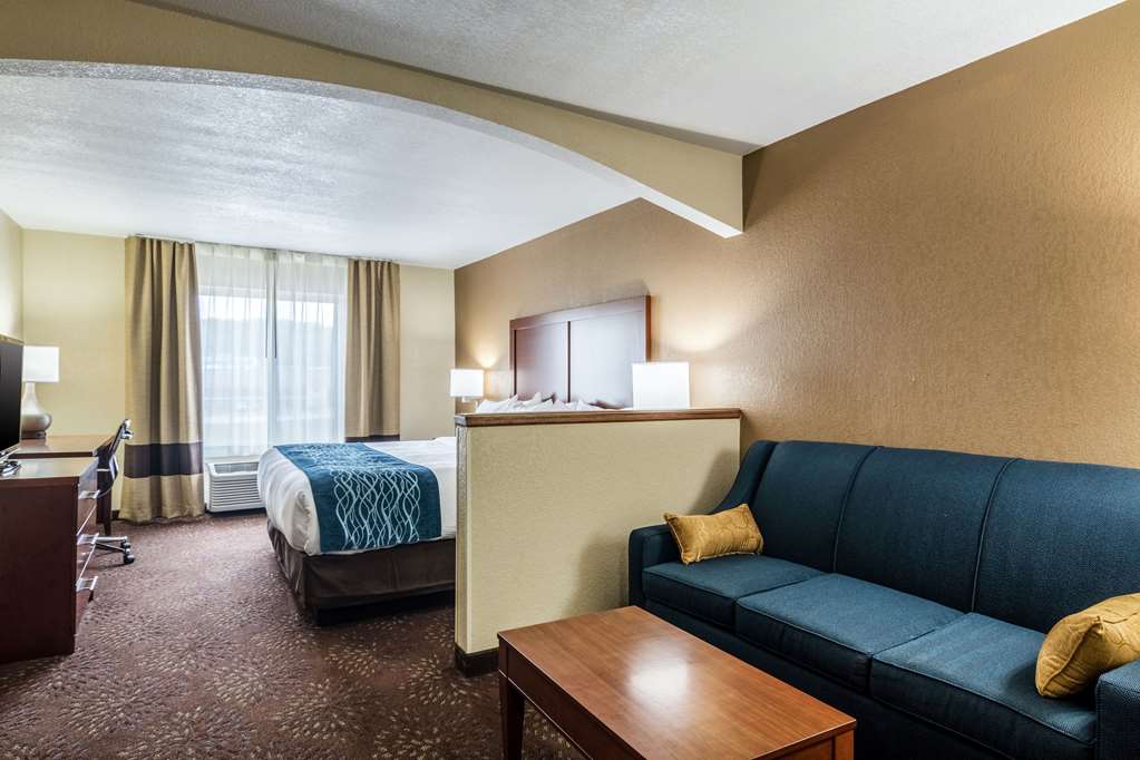 Comfort Inn & Suites Hannibal - photo 26