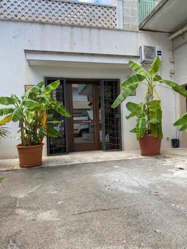 Dimora Masaccio - last minute hotel in Monopoli