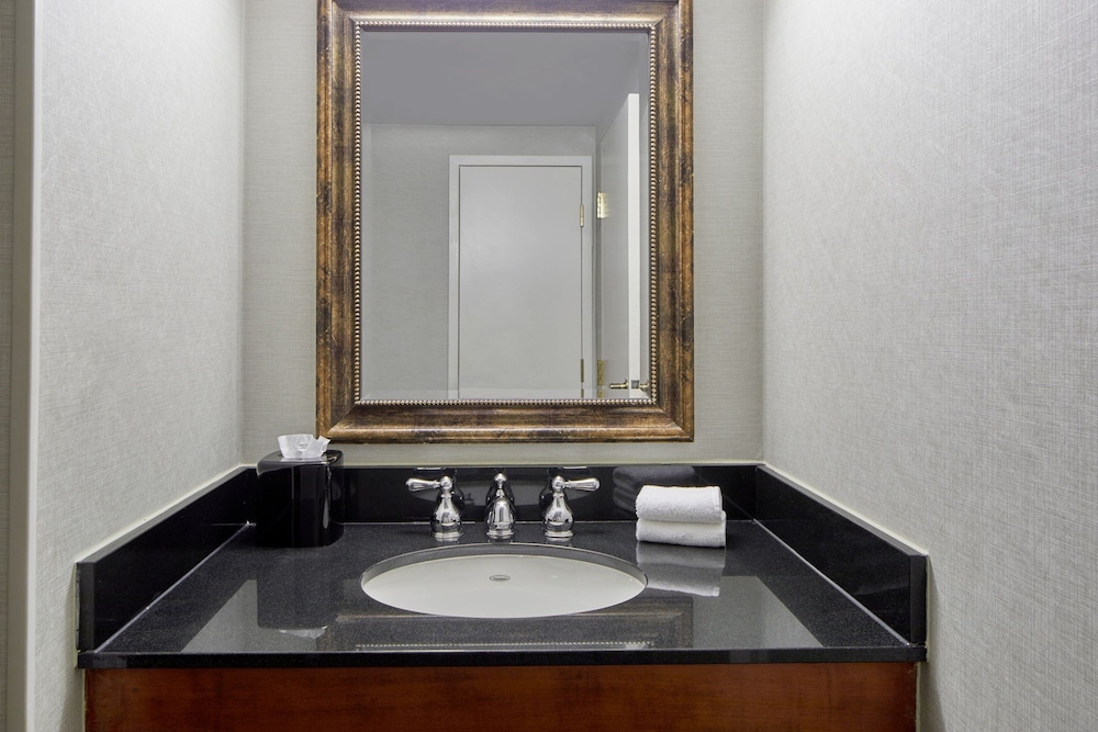 Detroit Metro Airport Marriott - photo 34