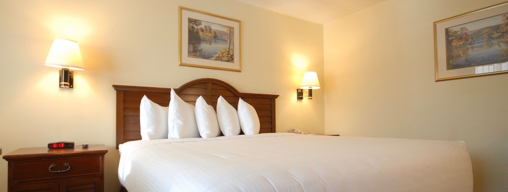 The Naswa Resort - photo 13