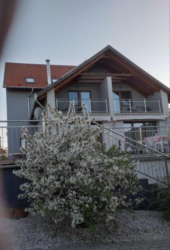 Villa Rigo Panzió — 4-Star Luxury Hotel in Verpelet, Hungary