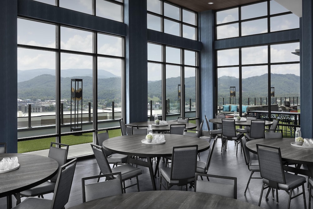 Embassy Suites by Hilton Pigeon Forge Resort - photo 45