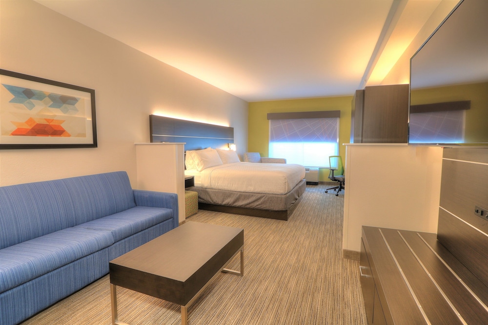 Holiday Inn Express Hotel & Suites Mobile Saraland by IHG - photo 38