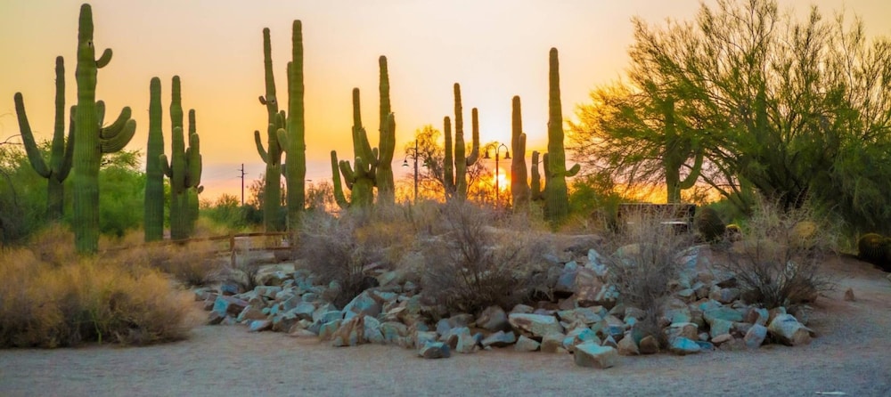 Holiday Inn Express & Suites Phoenix East Gilbert by IHG - photo 62
