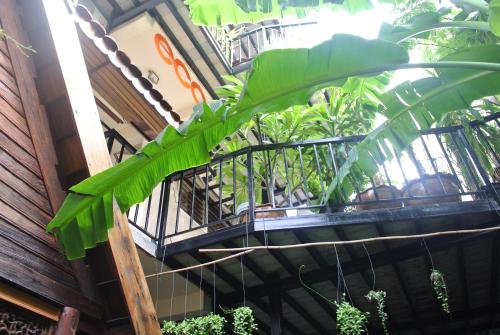 Eco House