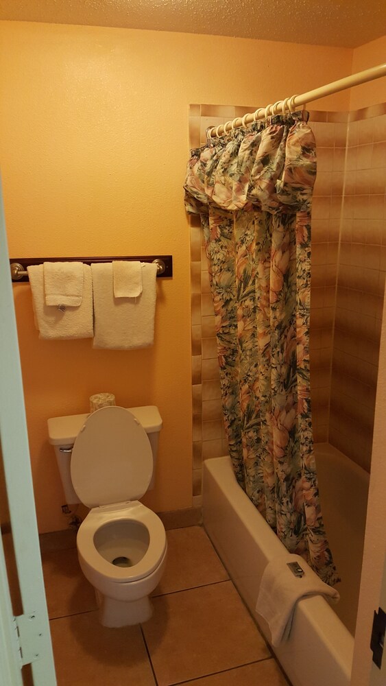 Camelot Inn - photo 13