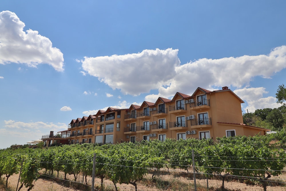 Dessera Vineyards Hotel — hotel in Kirklareli