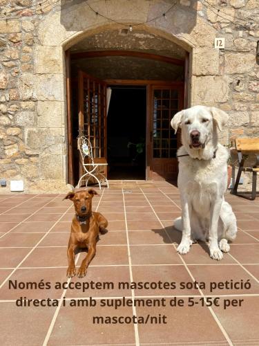 Hotel Mas Ribas — Palamos — photo 4