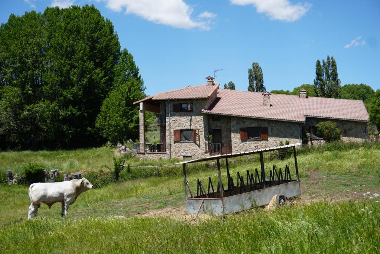 La Puerta de Gredos — hotel in San Martin Del Pimpollar