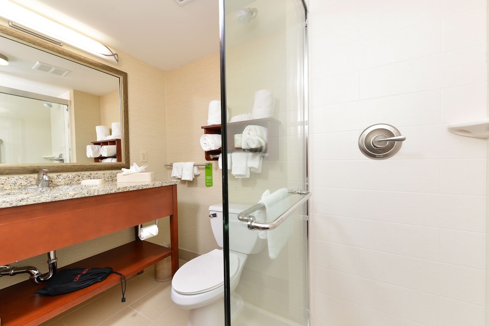 Hampton Inn Detroit Auburn Hills South - photo 12