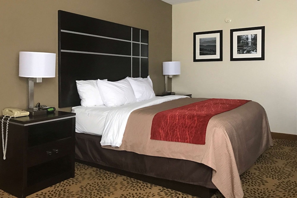 Comfort Inn North of Asheville - photo 21