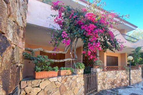 L'accogliente Casa Ginepro — 4-Star Luxury Hotel in San Teodoro, Italy