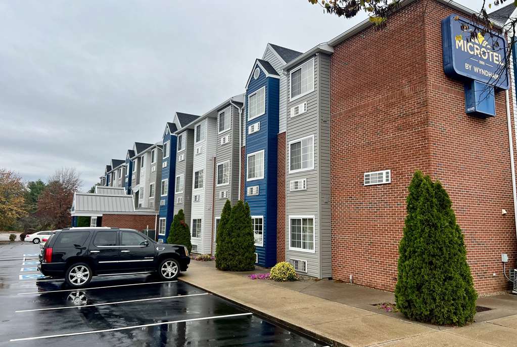 Microtel Inn by Wyndham Georgetown - photo 5