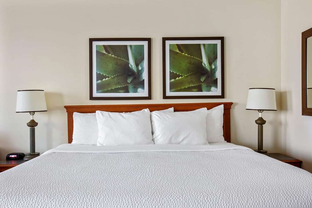La Quinta Inn & Suites by Wyndham Sawgrass - photo 22