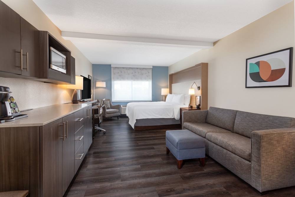 Holiday Inn Tampa North - photo 8