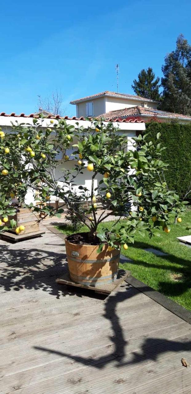 Chez Jeanfi - carbon neutral hotel in Fronsac
