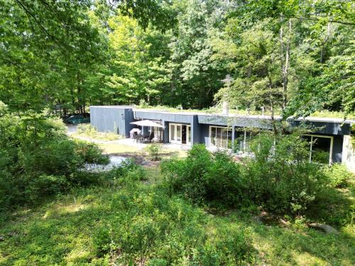 Earthship Forest Exile 20741543 — Temple