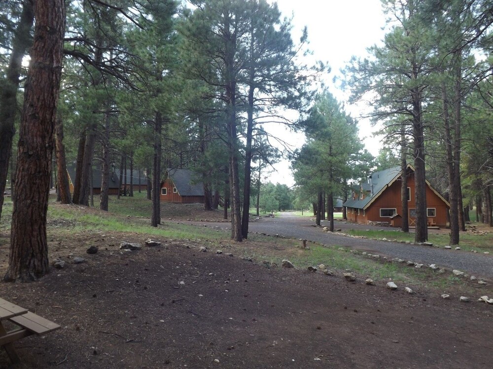 Arizona Mountain Inn and Cabins - photo 331