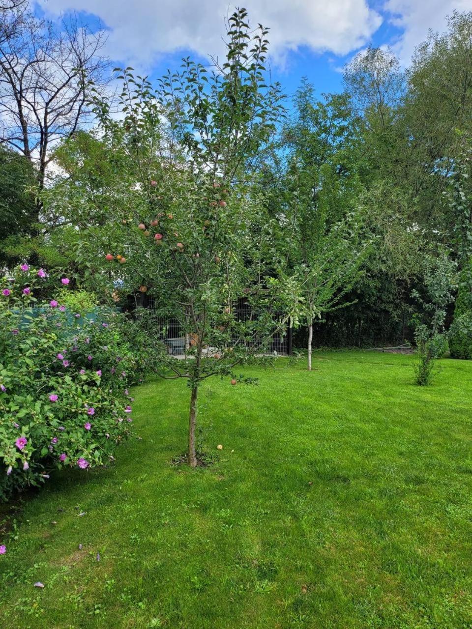 Bran’s Charm in Zarnesti, Romania