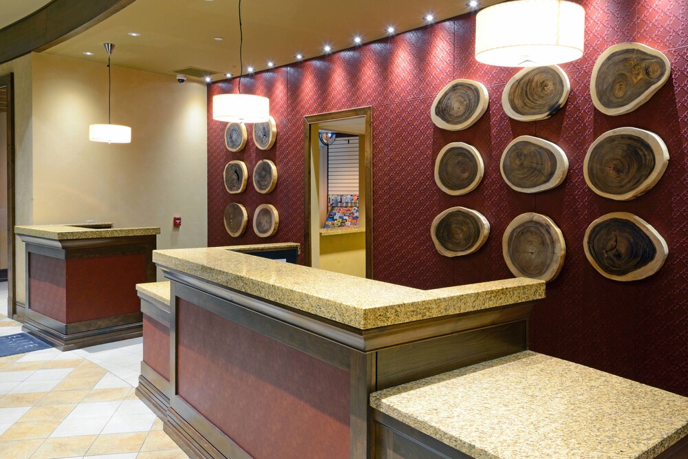 Marriott Denver South at Park Meadows - photo 20