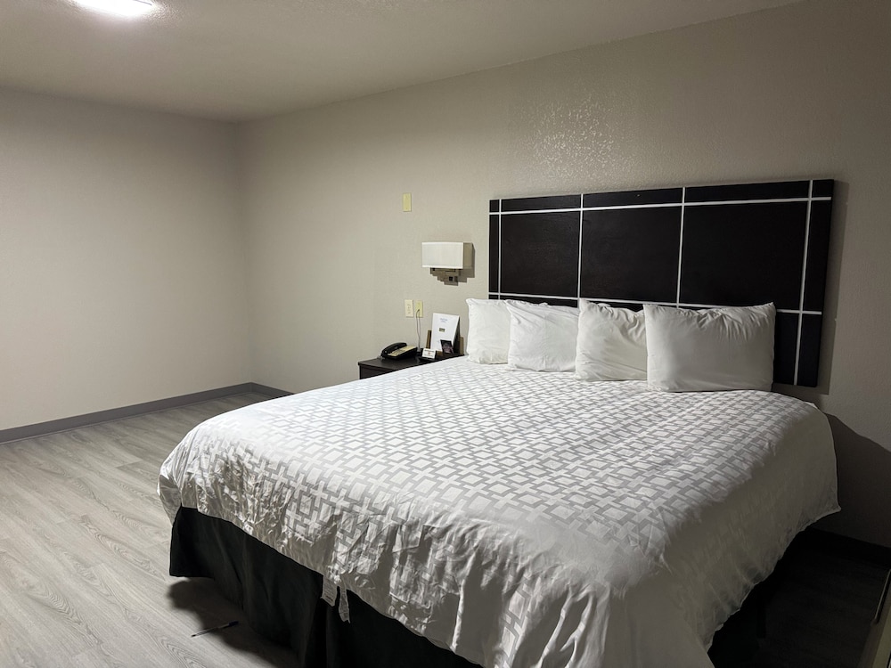 Executive Inn Crystal City - photo 3