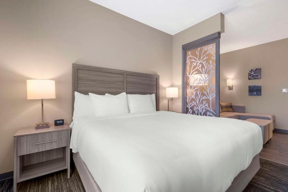 Pestana Orlando Suites Lake Buena Vista - photo 9