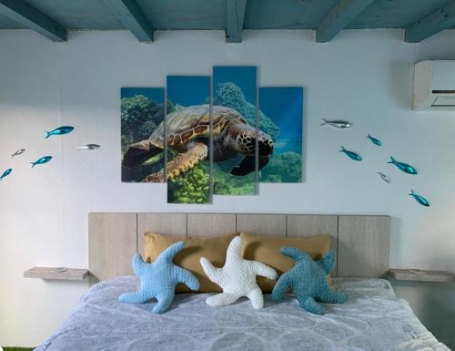 Aruba Local Stay in Paradera, Aruba