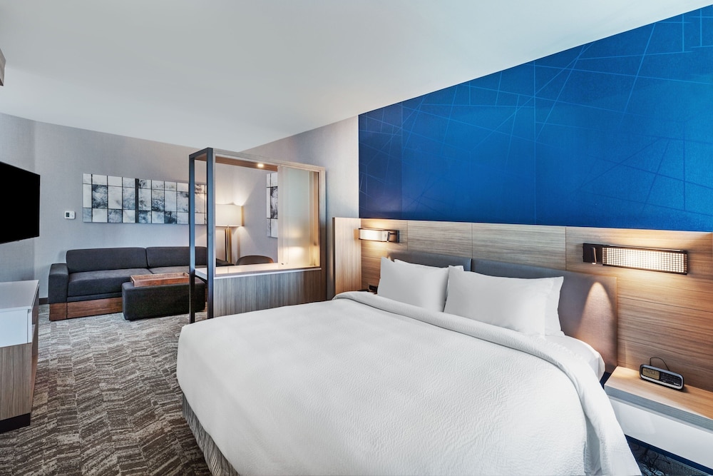 SpringHill Suites by Marriott Austin West Lakeway - photo 8