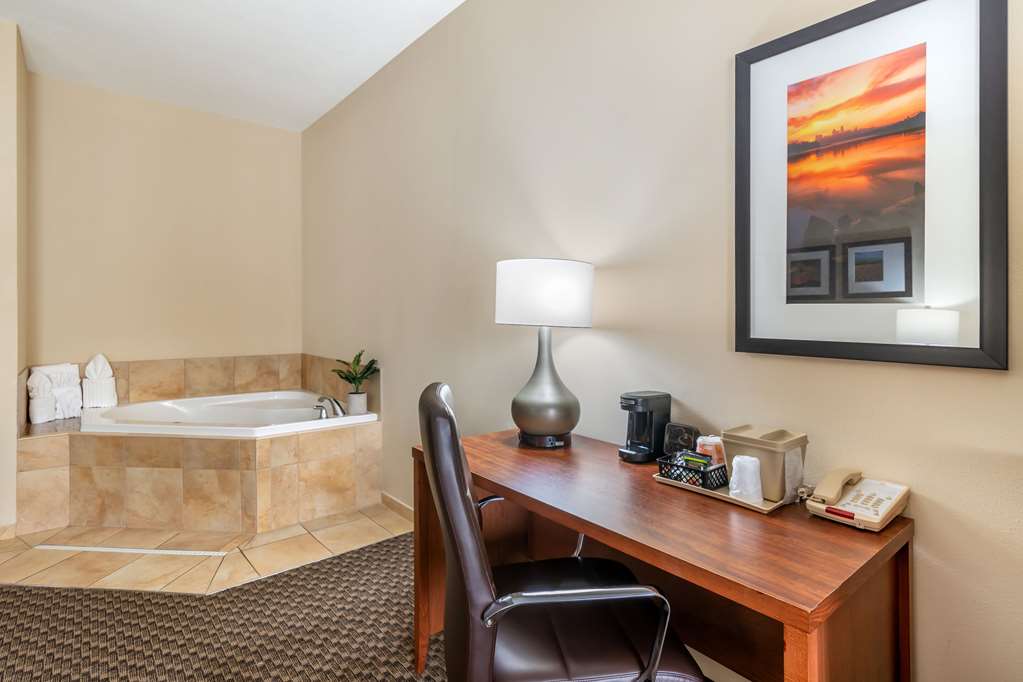Comfort Suites Manhattan - photo 15
