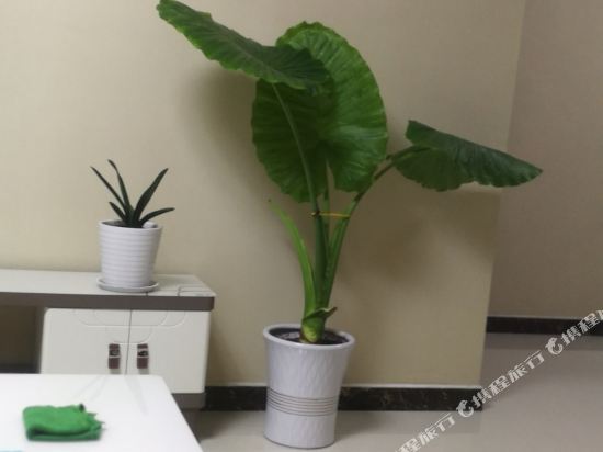 Lele Aapartment - last minute hotel in Zaozhuang