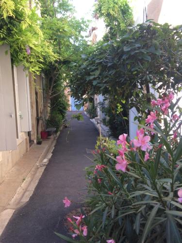 La Petite Glycine in Serignan, France