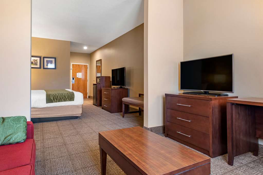 Comfort Inn Amite City - photo 18