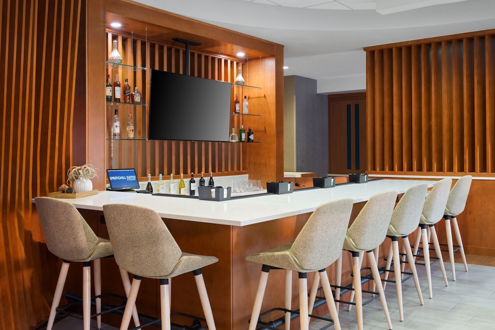 Springhill Suites by Marriott Pittsburgh Mt. Lebanon - photo 2