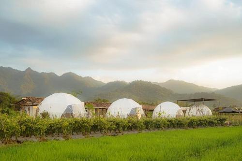Borobudur Luxury Glamping in Magelang, Indonesia