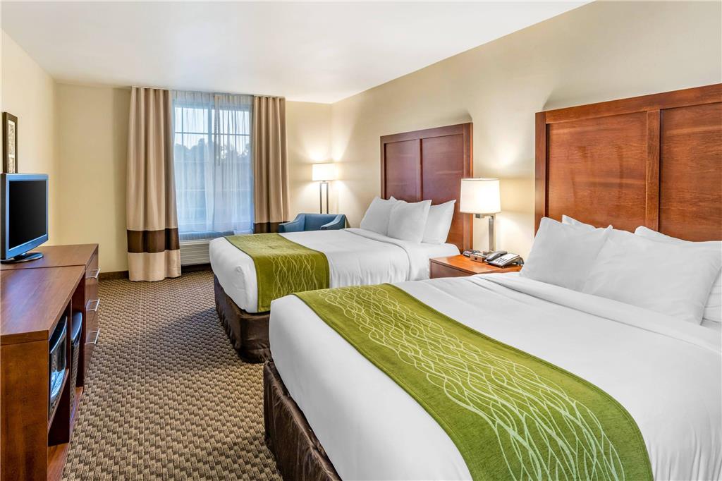 Comfort Inn & Suites Lancaster Antelope Valley - photo 11