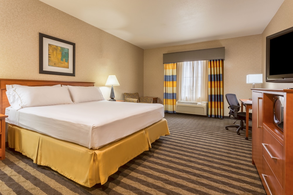 Holiday Inn Express Hotel & Suites Manteca by IHG - photo 11